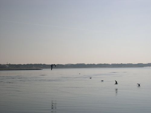 DSCN2675.JPG