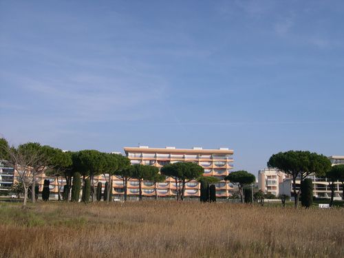 DSCN2693-copie-1.JPG