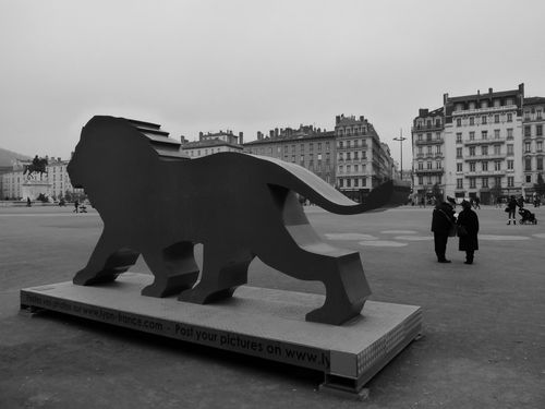 P1030240