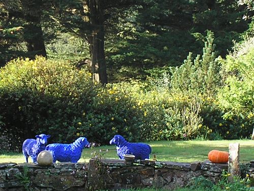 P3130592.JPG