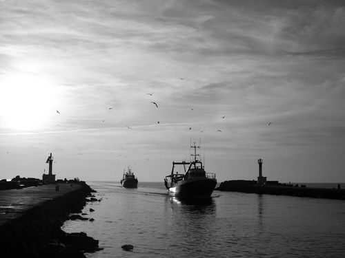 DSCN2731.JPG
