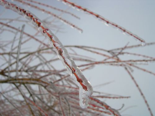 DSCN2881.JPG