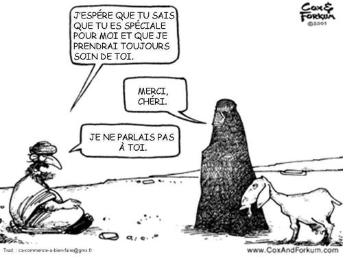 L'homme descend du singe ! Caricature-Islam--la-Femme-en-Islam