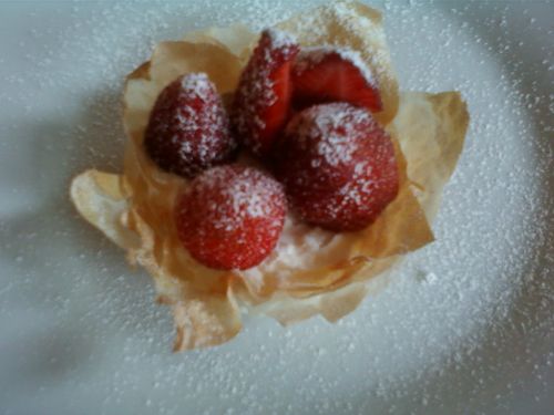 Photo-0029-copie-2