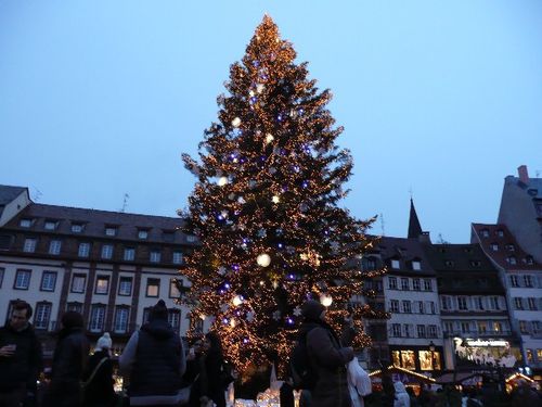 alsace-11_strasbourg-grand-sapin.JPG