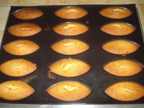 financiers 4