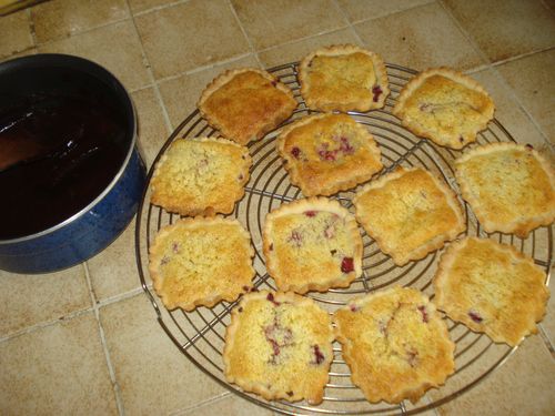 Tartelettes ChocoFramboises 6