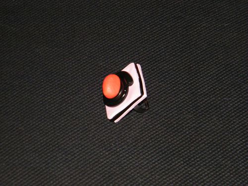 DSCF2434.JPG