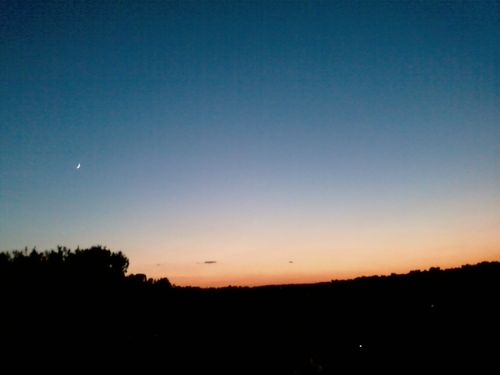 Photo1325