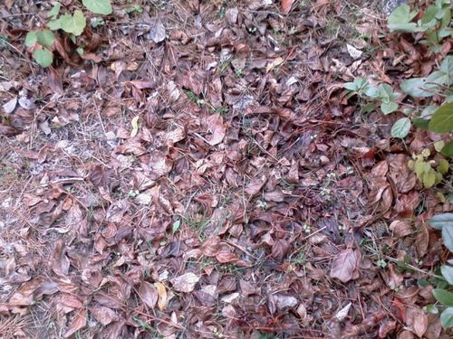Photo0914.jpg