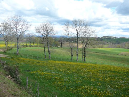 P1090900