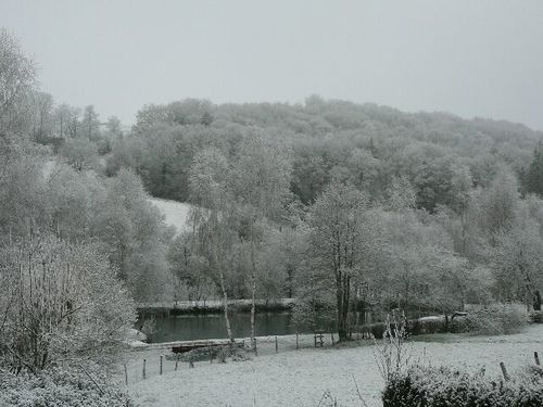 P1110583 640x480