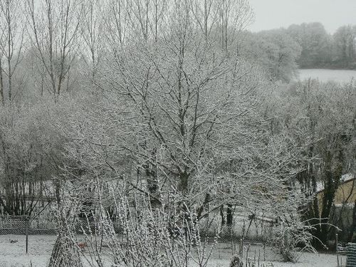 P1110588 640x480