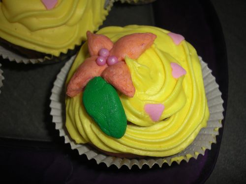 Citron - canelle - C2 (2)