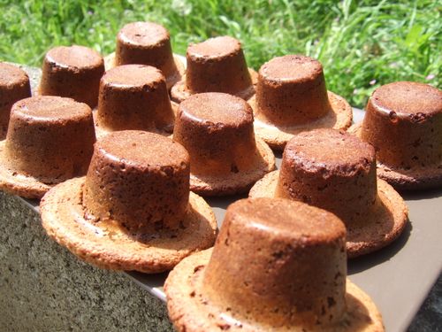 2013_0502recette0149.JPG