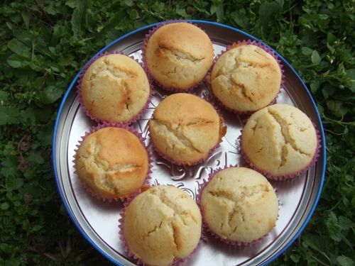 2013_0127recette0009.JPG