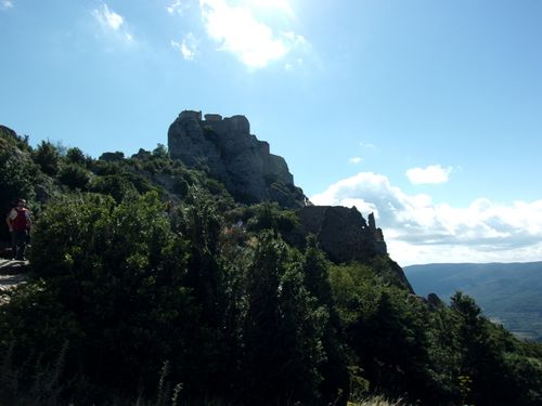 RIMG0141.JPG
