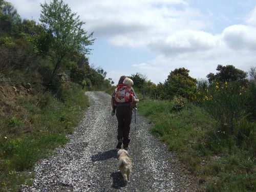DSCF5692.JPG