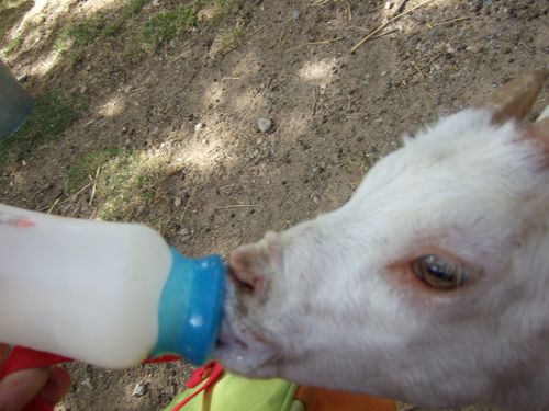 DSCF6217.JPG