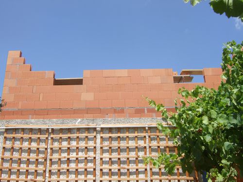 DSCF2347.JPG
