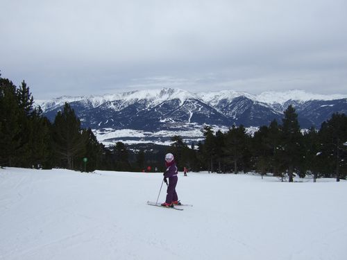 DSCF0338.JPG