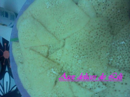 Photo-0097