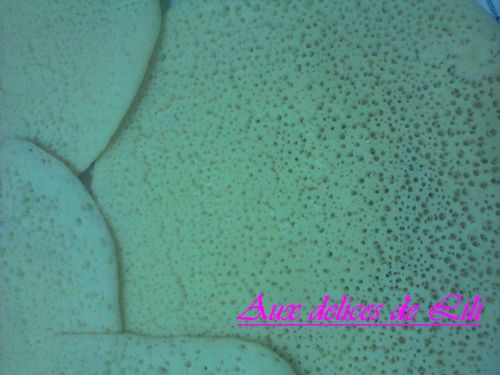 Photo-0100