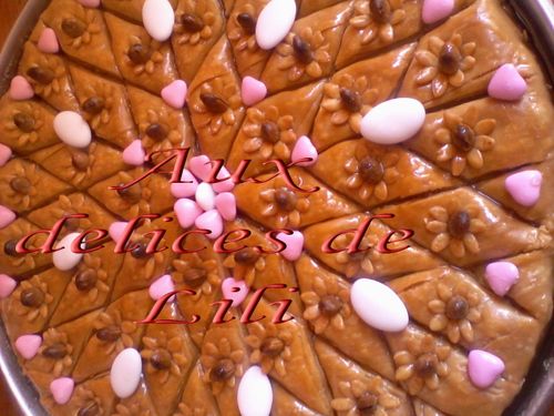 Photo-0221