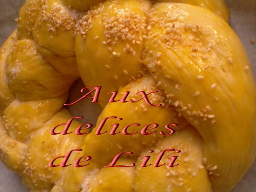 Copie de Photo-0067