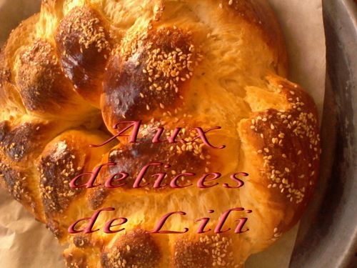 Copie de Photo-0074