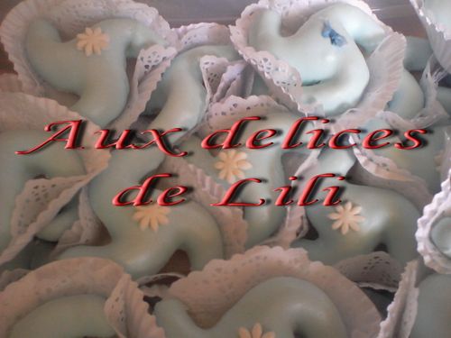 Photo-0211