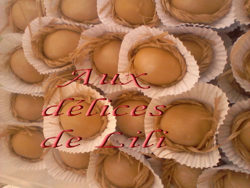 Photo-0035
