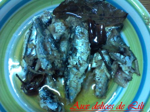 Photo-0451