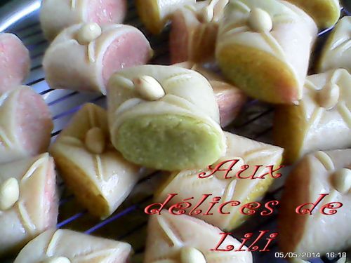 skandraniettes-en-couleurs 0000281