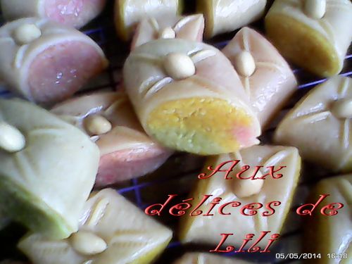 skandraniettes-en-couleurs 0000282