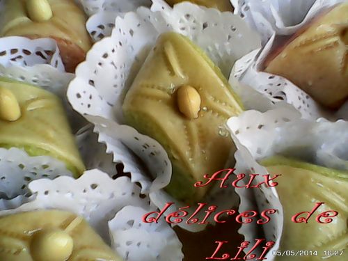 skandraniettes-en-couleurs 0000286