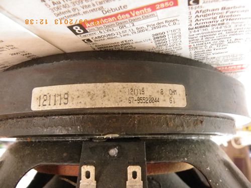 IMGP4766.JPG