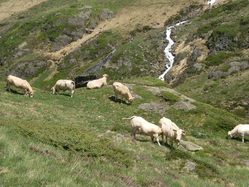 lac d'anglas 053