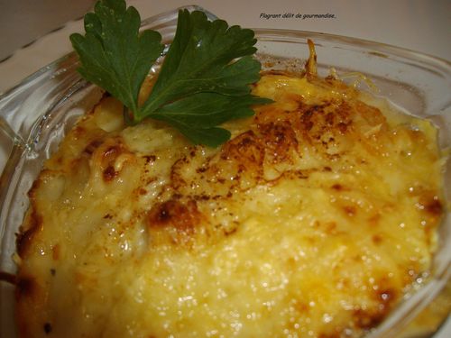 Coquille-saint-Jacques-sauce-creme-gratinee.JPG