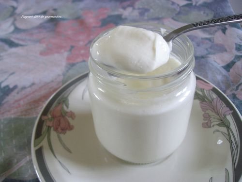 Creme-de-yaourt-maison.JPG