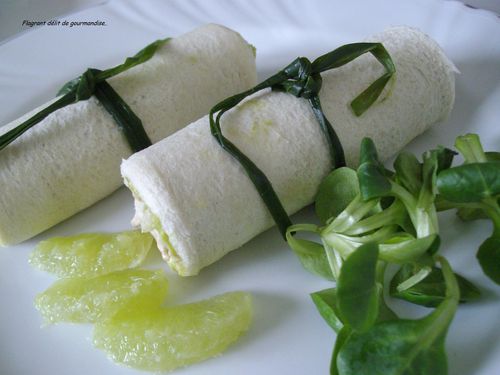 Wrap-a-l-avocat-et-au-thon.JPG