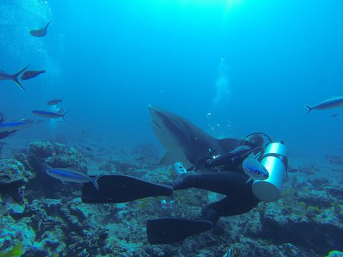 GOPR0789