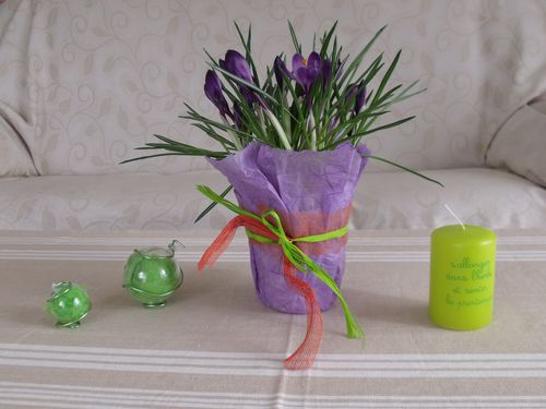 crocus-012.JPG