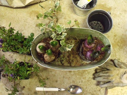 DSCF7615.JPG