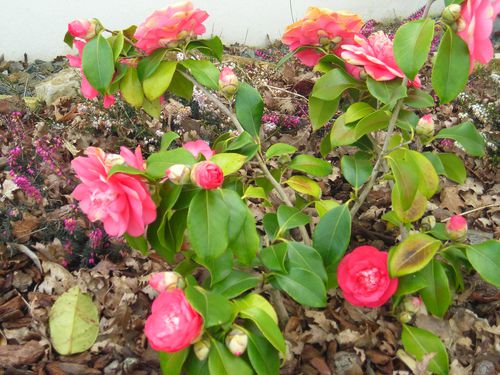 DSCN8360.JPG