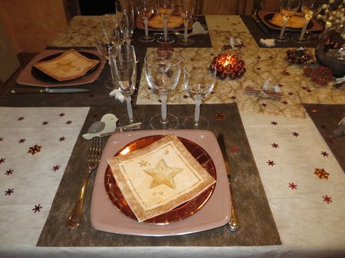 Table Noël nature oiseaux 2014 (5)