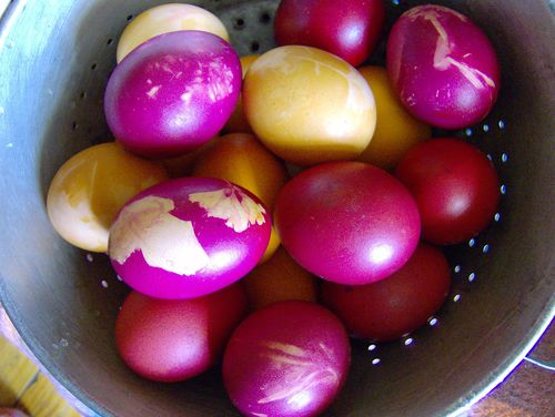pak oeufs