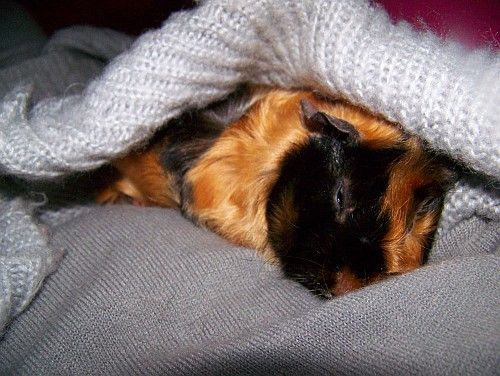 100_7148.jpg