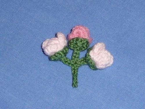 boutonrose1