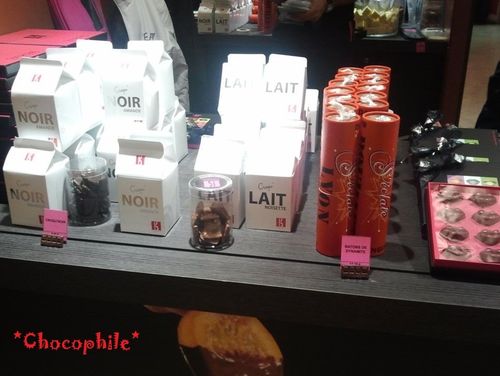 saloncho2012 (4)